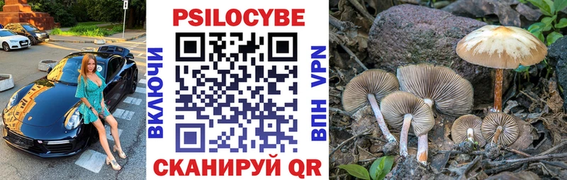 Галлюциногенные грибы прущие грибы  Агрыз 